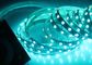 RGBW 4 In 1 Flexible LED Strip Light 180 Degree Beam Angle With 12mm X 5m Dimension